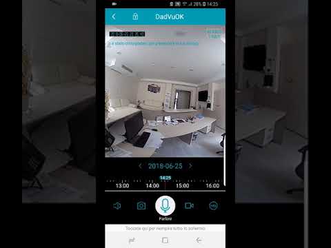 Microcamera wifi panoramica DadVu DV-FE1005W demo